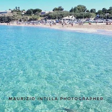 Anfrasipe Terrasini